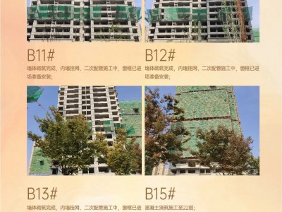 【云峰·中央公園】10月工程進(jìn)度播報(bào)