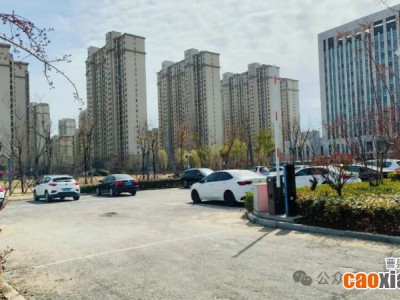 曹縣城區(qū)這兩處停車場將開始收費！