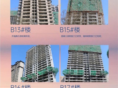 【云峰·中央公園】3月工程進(jìn)度播報(bào)
