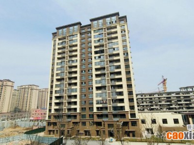 【信達(dá)·攬湖郡】3月工程進(jìn)度播報(bào)