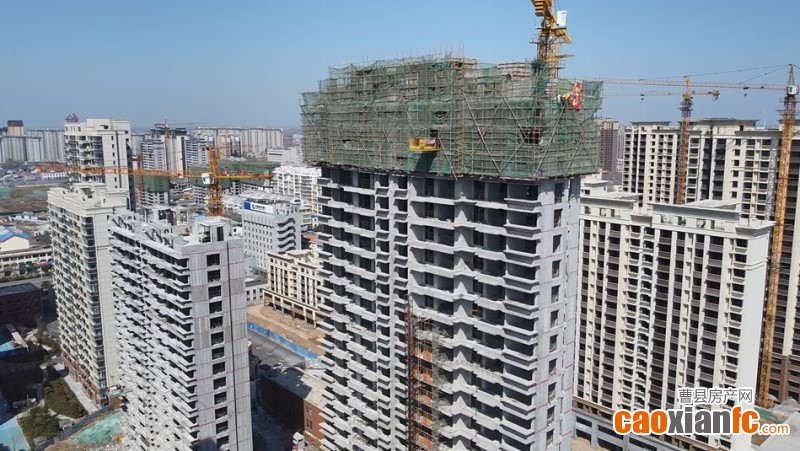 微信截圖_20250327134509