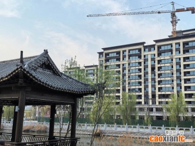 【中用·鉑悅府】與伊尹公園為鄰，讓自然成為生活的底色！