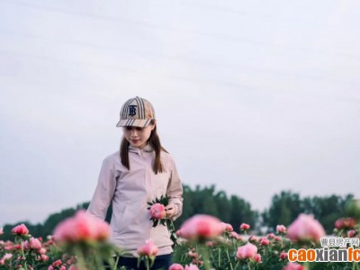 菏澤芍藥成全網(wǎng)頂流，多地主播蹲守冷庫搶鮮！